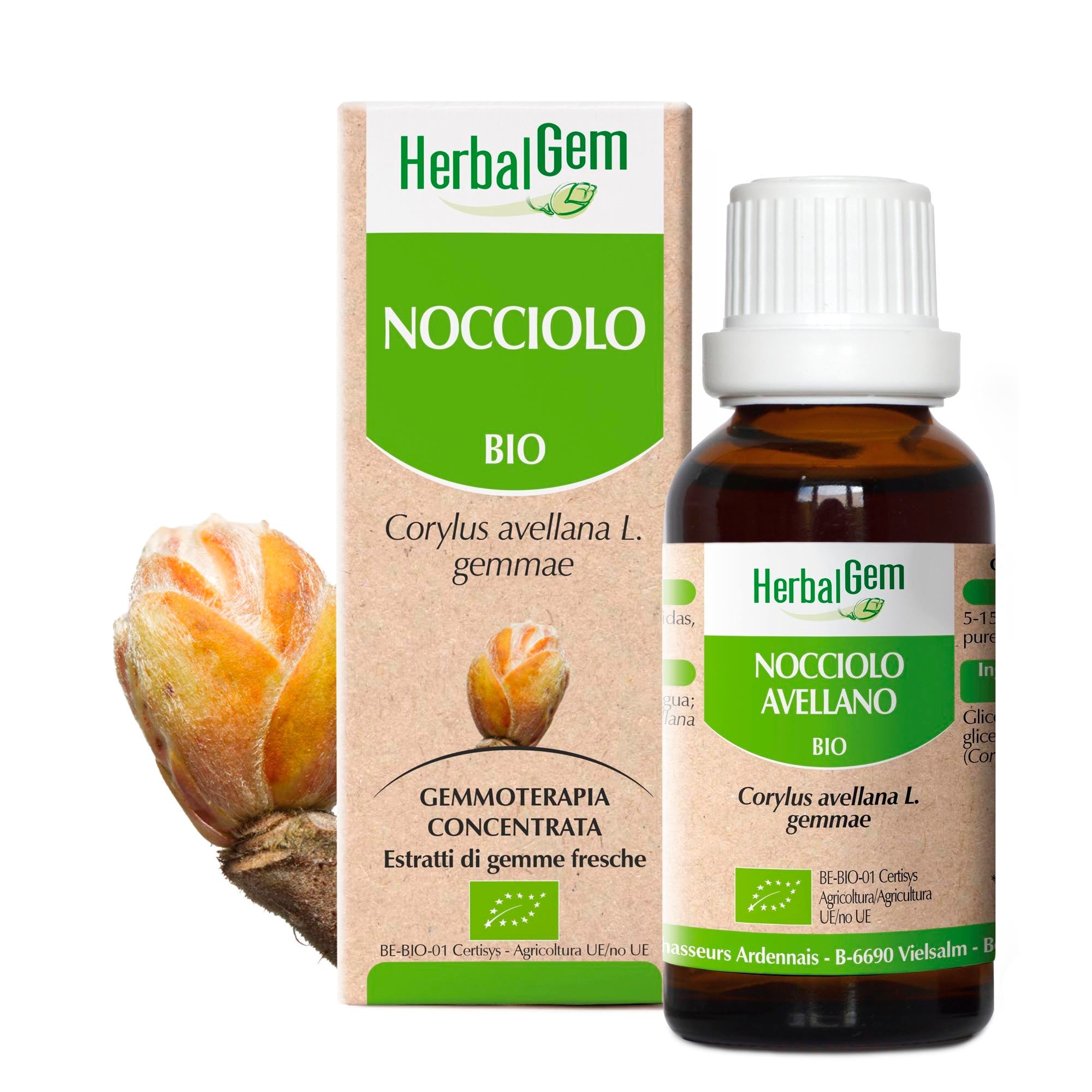 NOCCIOLO - Bio