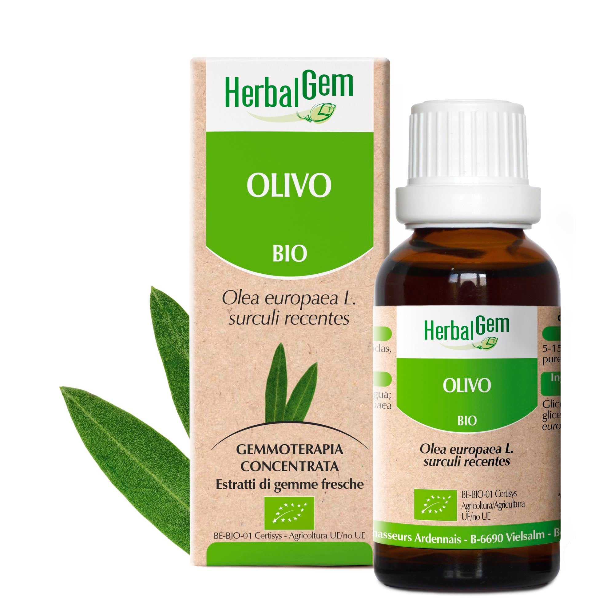 OLIVO - Bio